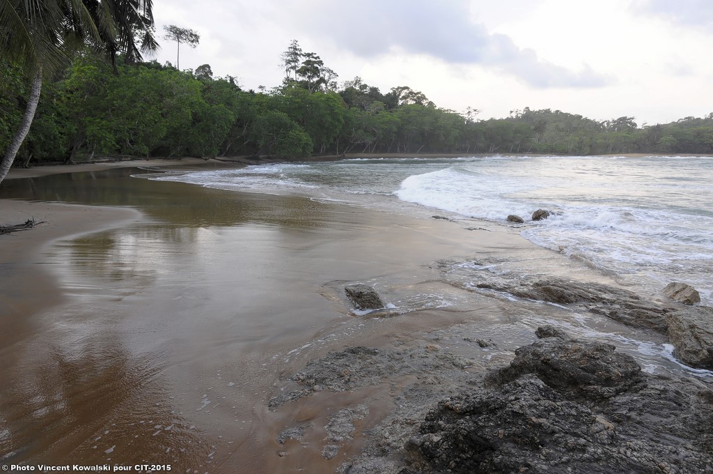 _VKK3902_VincentKowalski-2015 BD.jpg