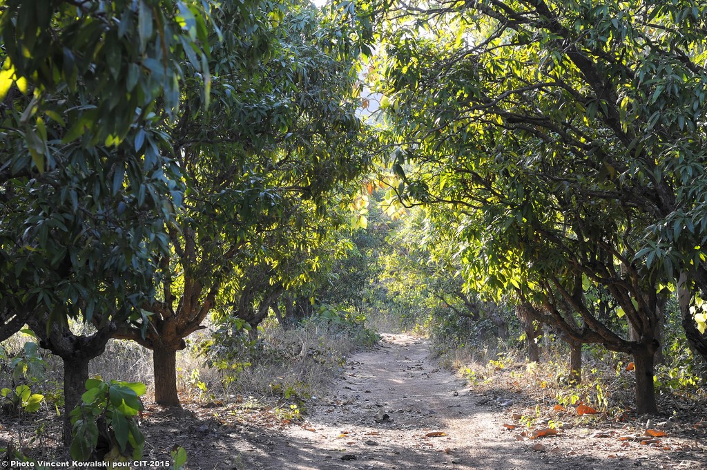 _VKK7846_VincentKowalski-2015 BD.jpg